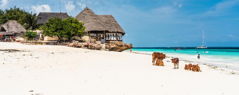 Vue d'une plage à Zanzibar. [Depositphotos - GekaSkr]