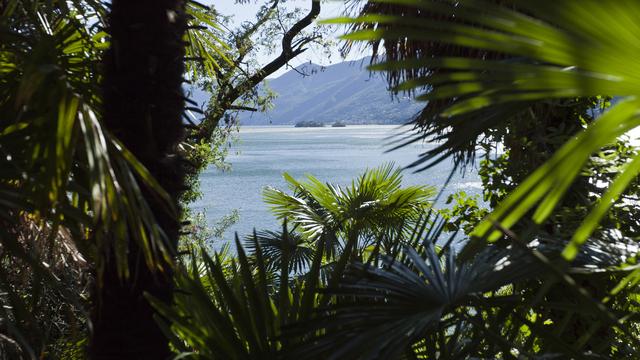 Vue d'Ascona (TI) sur le Lac Majeur. [Keystone - Gaetan Bally]