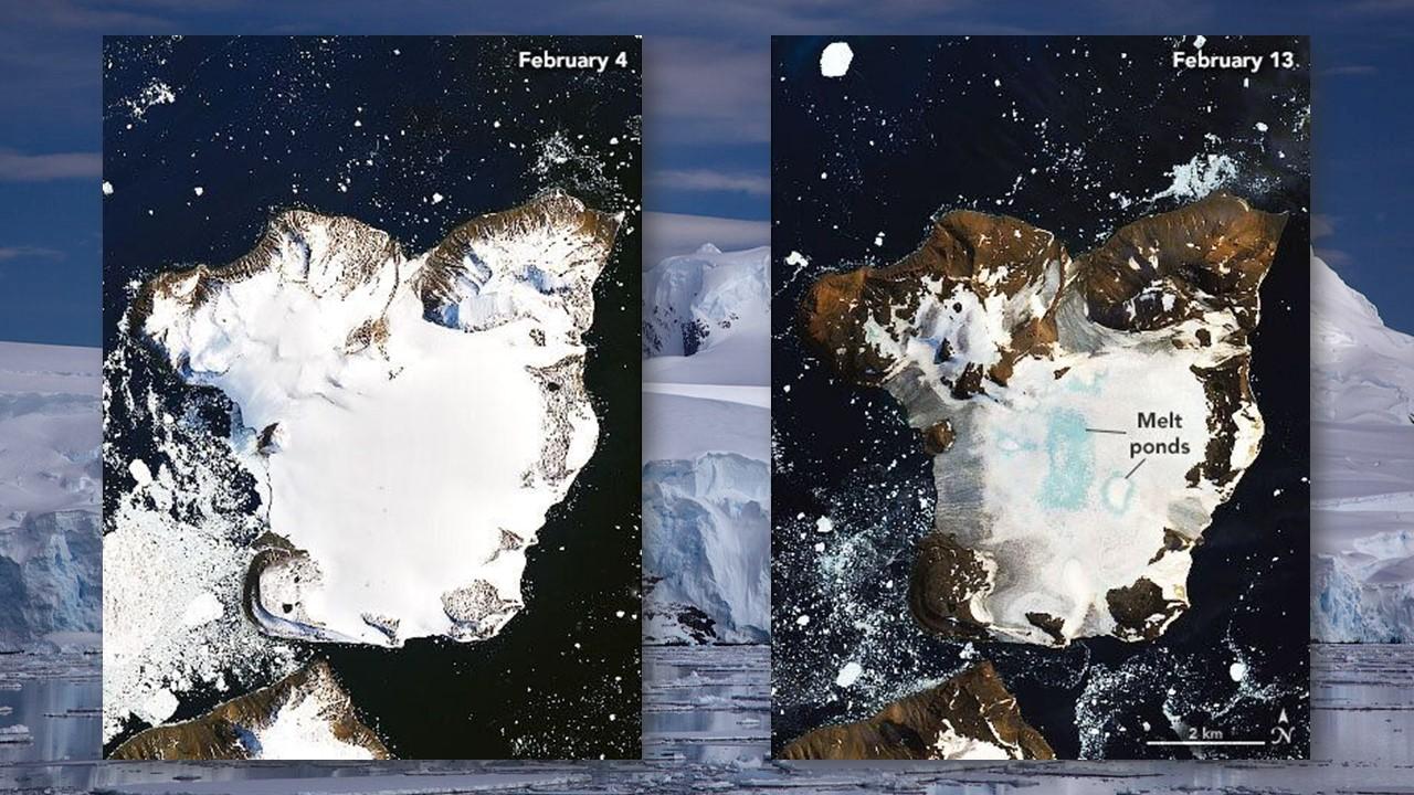 Comparaison de l'étendue des glaces sur Eagle Island le 4 et le 13 février 2020 [NASA]