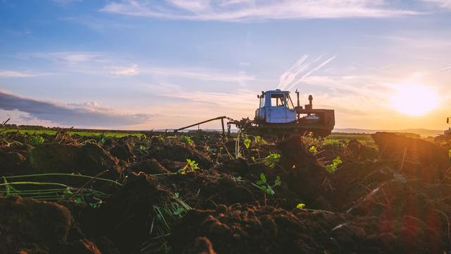 L'état des sols et de la terre inquiète: l'usage de machines agricoles lourdes et de pesticides sont notamment en cause. [AFP - Aliyev Alexei Sergeevich]