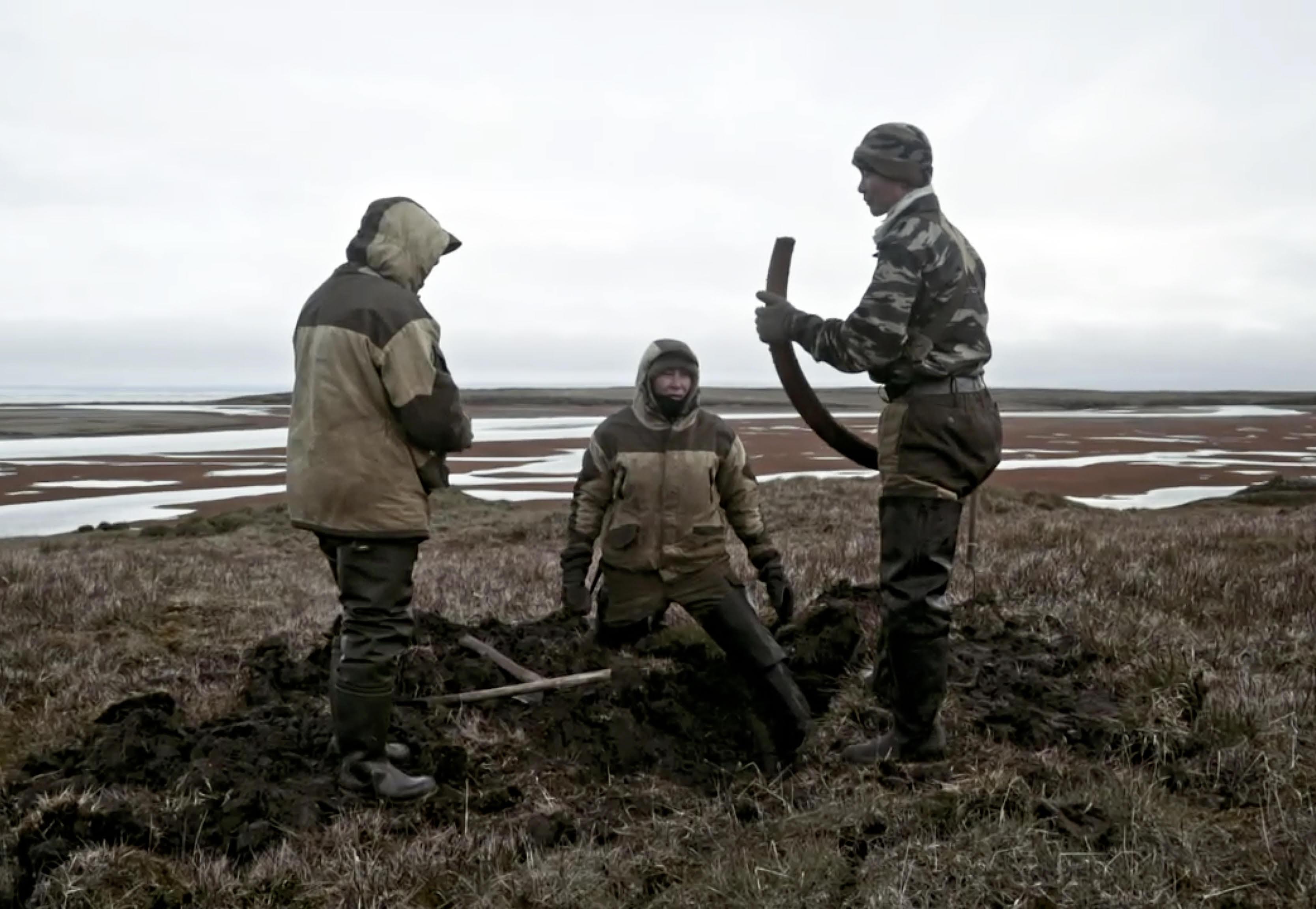 La chasse aux mammouths en Nouvelle-Sibérie. [Frenetic films]