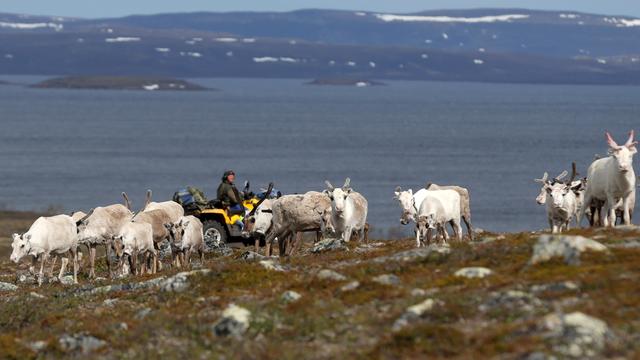 Un membre de la communauté Sami. [Reuters - Stoyan Nenov]