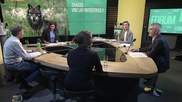 Simone de Montmollin, conseillère nationale PLR genevoise, James Derivaz, chasseur et président de la Diana de Martigny, Sarah Pearson Perret, secrétaire romande de ProNatura et Christophe Clivaz, conseiller national Verts valaisan.