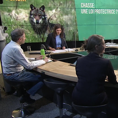 Simone de Montmollin, conseillère nationale PLR genevoise, James Derivaz, chasseur et président de la Diana de Martigny, Sarah Pearson Perret, secrétaire romande de ProNatura et Christophe Clivaz, conseiller national Verts valaisan.