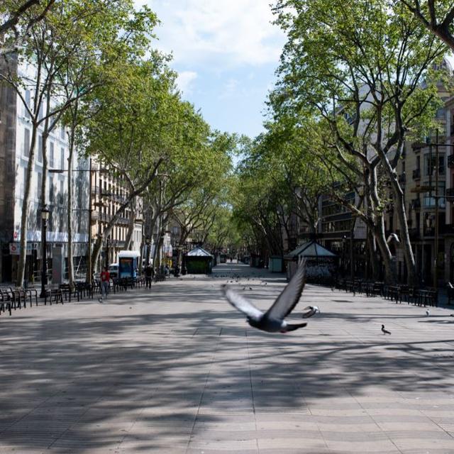 3 avril: les populeuses Ramblas de Barcelone vidées de leurs badauds. [afp - Adria Puig / Anadolu Agency]