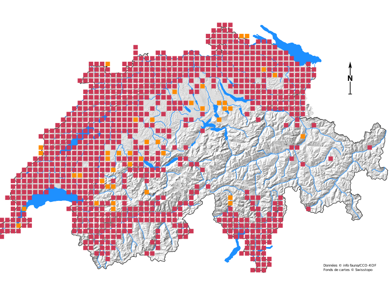 Répartition des sangliers en Suisse (en orange: données avant 2000 - en rouge: données après 2000) [CSCF]