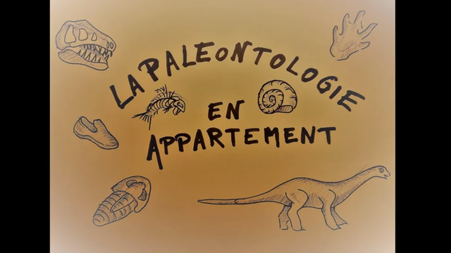 Paléontologie en appartement [Muséum Genève - Muséum Genève]