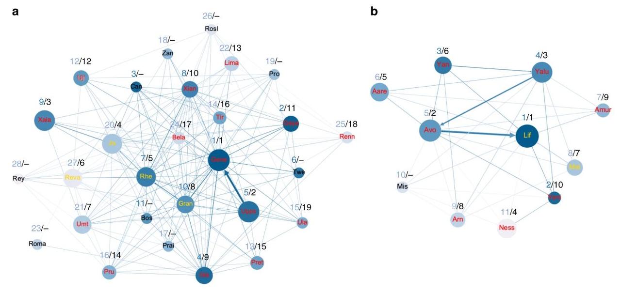 L'étude des interactions et de l'apprentissage dans deux groupes distincts de singes.