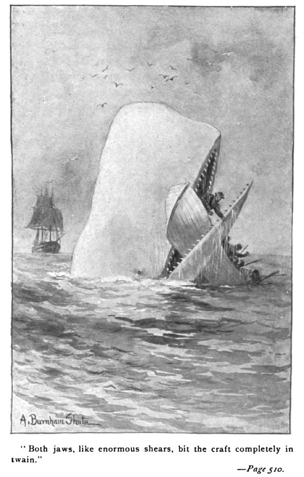 Une ancienne édition de "Moby Dick". [CC-BY-SA]
