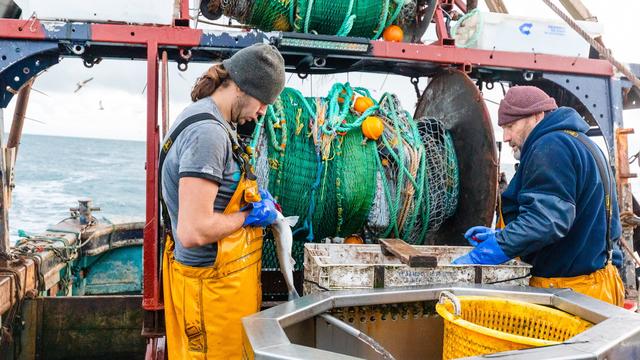 Les négociations sur le Brexit butent sur la question de la pêche. [Keystone - Vickie Flores]