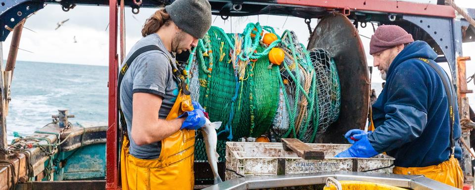 Les négociations sur le Brexit butent sur la question de la pêche. [Keystone - Vickie Flores]