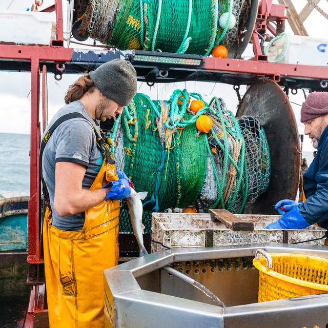 Les négociations sur le Brexit butent sur la question de la pêche. [Keystone - Vickie Flores]