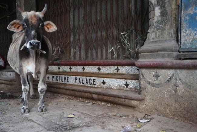 Allahabad, Inde. 2017. [Simon Edelstein]