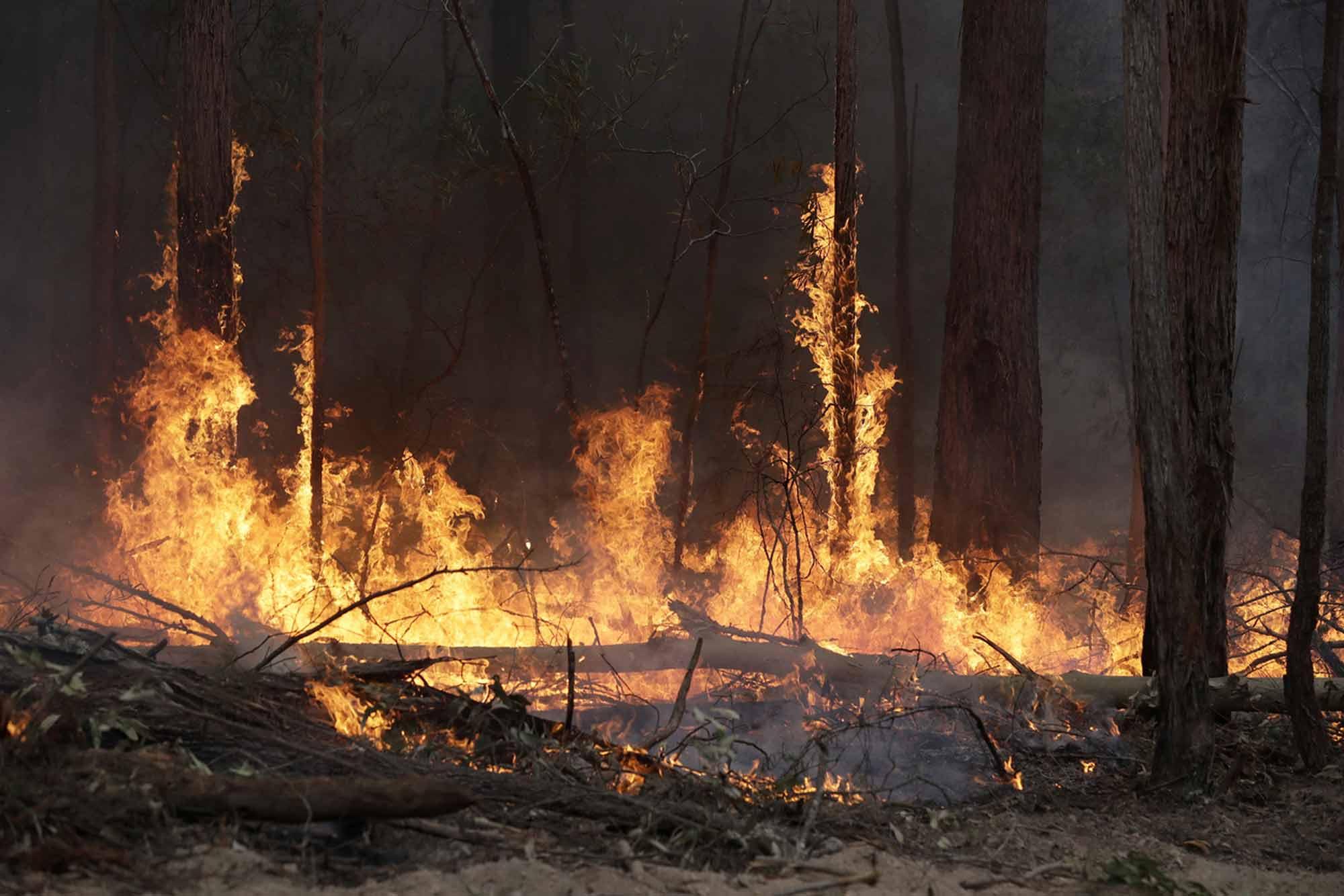 Les incendies en Australie, janvier 2020. [Keystone - Rick Rycroft]