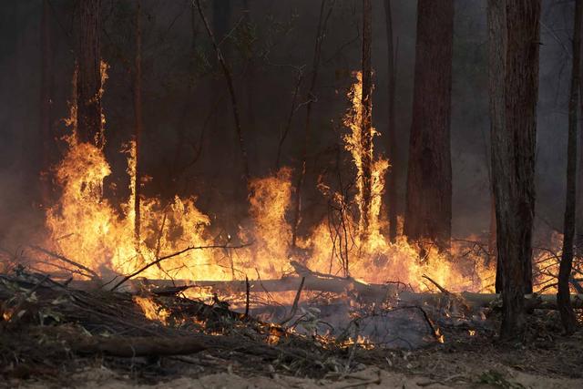 Les incendies en Australie, janvier 2020. [Keystone - Rick Rycroft]