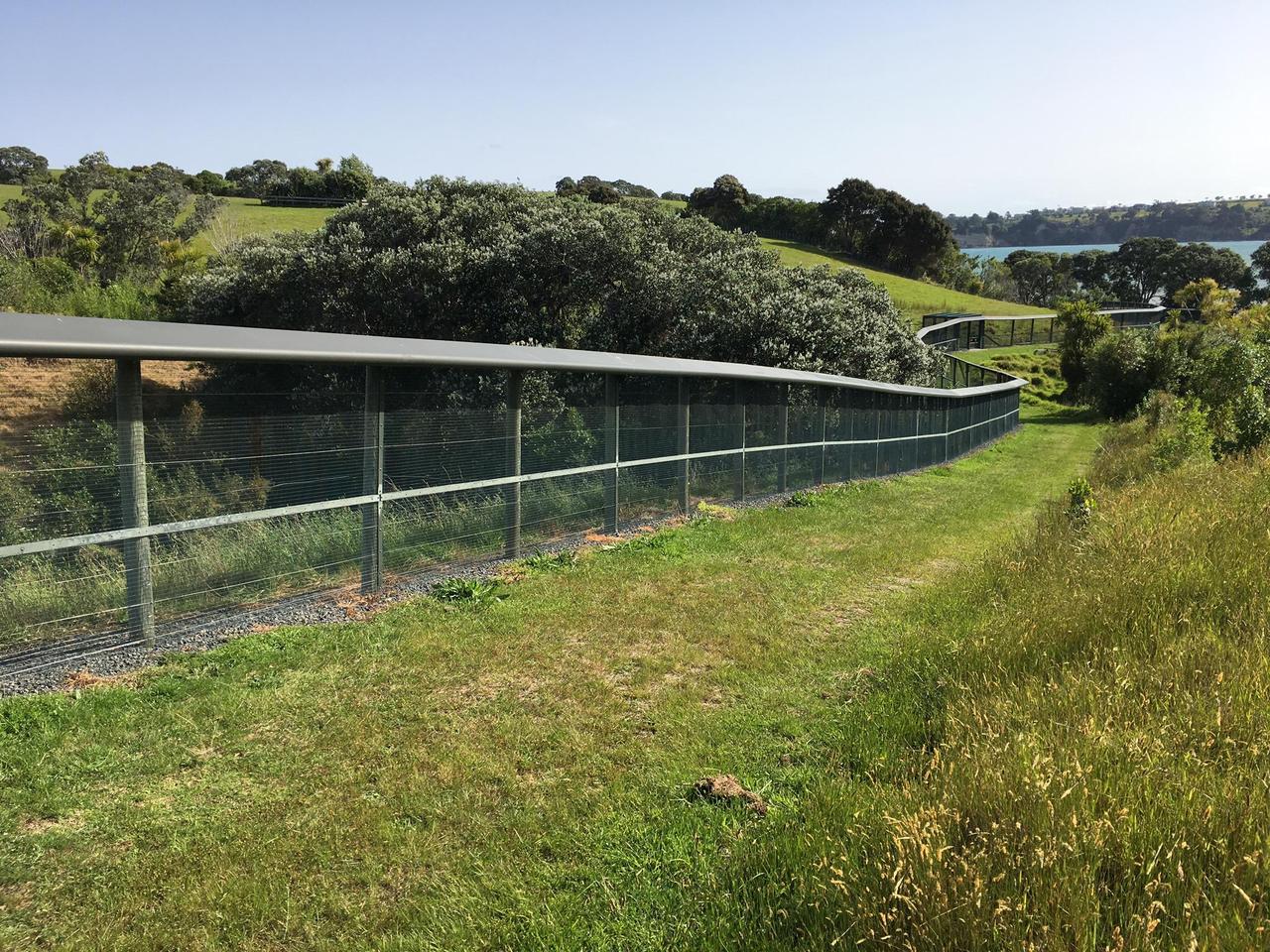 Une barrière électrifiée, qui s'enfonce profondément dans le sol, contre les prédateurs. Réserve de Shakespear Regional Park, au nord d'Auckland, novembre 2019. [DR - Stéphanie Jaquet]