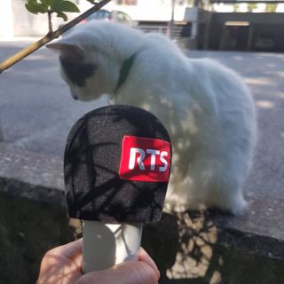 Tokay, le chat de la radio.
RTS