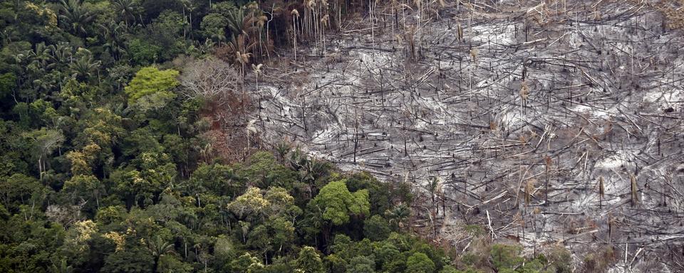 Une parcelle victime de déforestation dans le Parc national de Tinigua, en Colombie, le 22 février 2020. [Keystone/epa - Mauricio Duenas Castaneda]