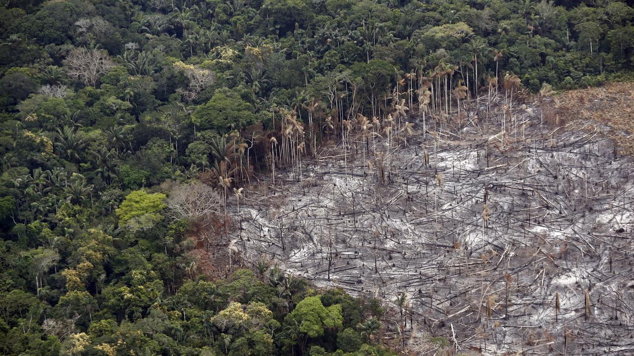 Une parcelle victime de déforestation dans le Parc national de Tinigua, en Colombie, le 22 février 2020. [Keystone/epa - Mauricio Duenas Castaneda]