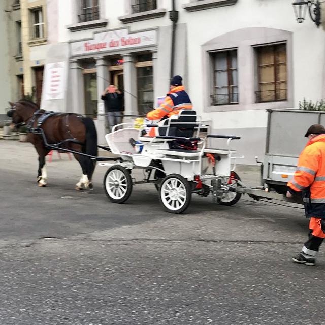 La ville de Fribourg propose d’utiliser des chevaux pour ramasser les sapins de Noël. [RTS - Maurice Doucas]
