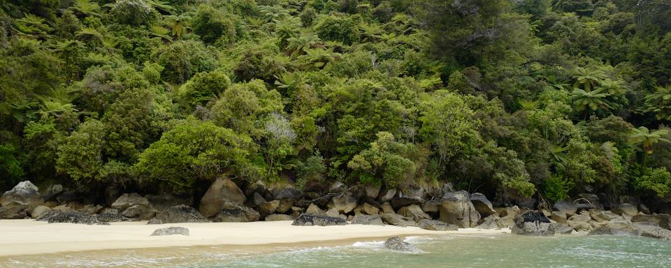 Un paysage luxuriant en Nouvelle-Zélande, dans le parc national Abel Tasman. [DR - Stéphanie Jaquet]