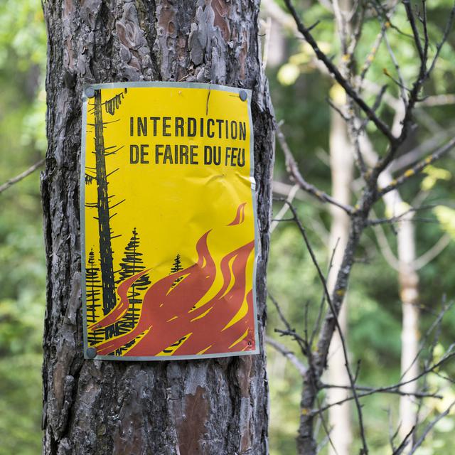 Le risque d'incendie est désormais "marqué" dans beaucoup de cantons et notamment en Valais. [Keystone - Dominic Steinmann]