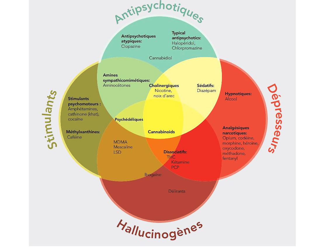 Les différents types de psychotropes. [Commission globale de politique en matière de drogues, classification de Derek Snider. - Briner, Caroline (RTS)]