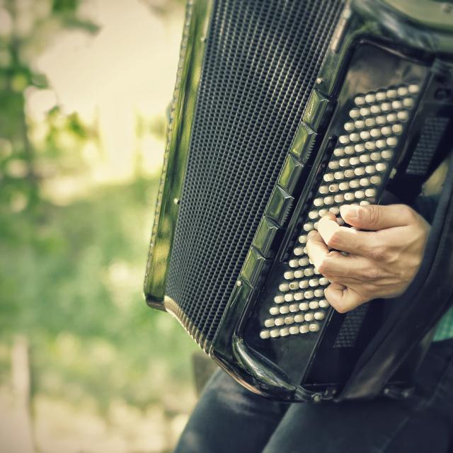Musicien jouant de l'accordéon. [Pixabay - Maja Pejic]