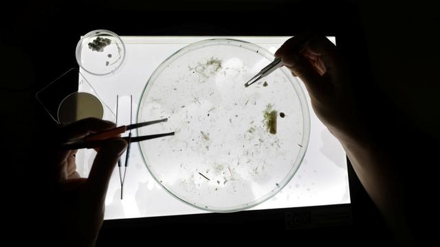 La quantité de microplastiques au fond des océans est nettement plus importante que prévu. [Reuters - Eric Gaillard]