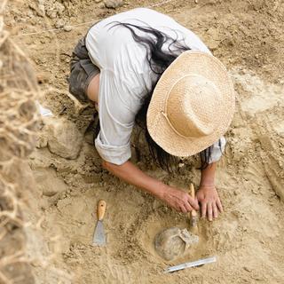 Une archéologue dans une fouille (image d'illustration). [AFP - MICROGEN IMAGES / SCIENCE PHOTO LI / SMD / Science Photo Library]