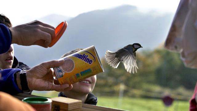 Année record pour la Station ornithologique suisse de Sempach (LU). [Keystone - Gaëtan Bally]