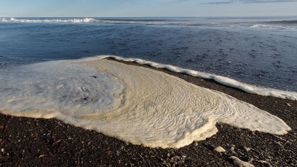 De la mousse sur une plage du Kamtchatka, en Russie. [AFP - Alexandr Piragis/Sputnik]