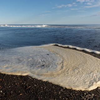 De la mousse sur une plage du Kamtchatka, en Russie. [AFP - Alexandr Piragis/Sputnik]