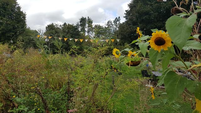 Un jardin en permaculture pour se rapprocher de la nature. [DR]