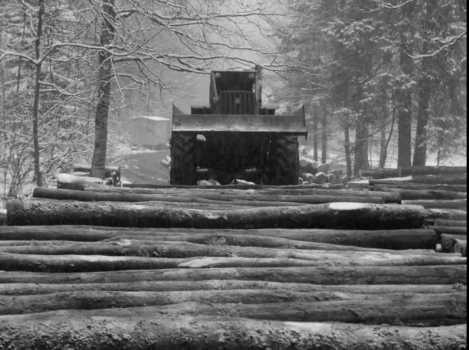 Exploitation du bois dans le Risoud en 1969. [RTS]