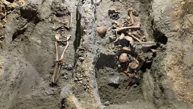 Les squelettes découverts sous la Collégiale de Neuchâtel. [RTS - Ville de Neuchâtel]