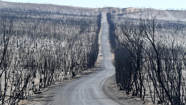 La route traversant le Flinders Chase National Park, sur Kangaroo Island. [Keystone - EPA/David Mariuz]