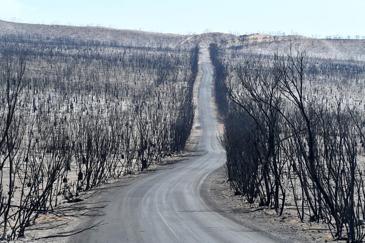 La route traversant le Flinders Chase National Park, sur Kangaroo Island. [Keystone - EPA/David Mariuz]