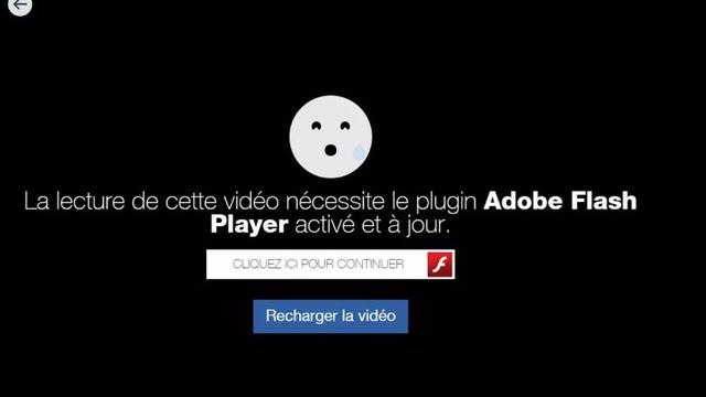 La technologie Flash nécessitait de fréquentes mises à jour pour garantir un minimum de sécurité [Adobe]