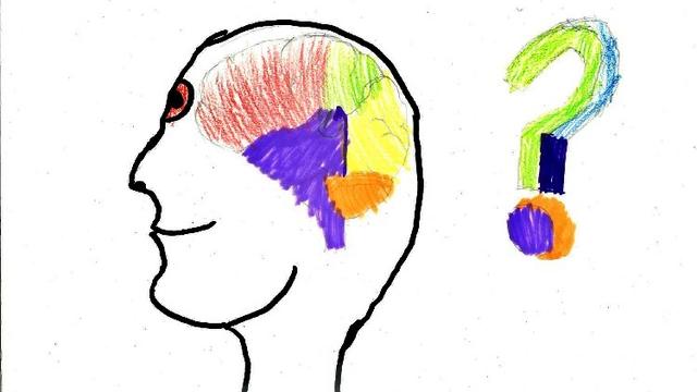 À quoi ressemble mon cerveau? Dessin réalisé par Sandro. [Sandro]