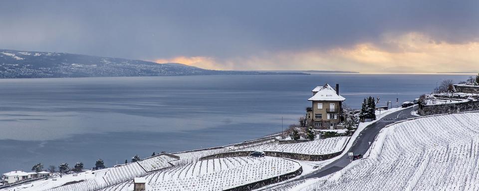 La neige recouvre les vignes du Lavaux à Chexbres au dessus du village de Rivaz. [Keystone - Cyril Zingaro]