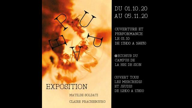 L'affiche de l'exposition Pupae. [EDHEA - Matilde Soldati et Claire Frachebourg]