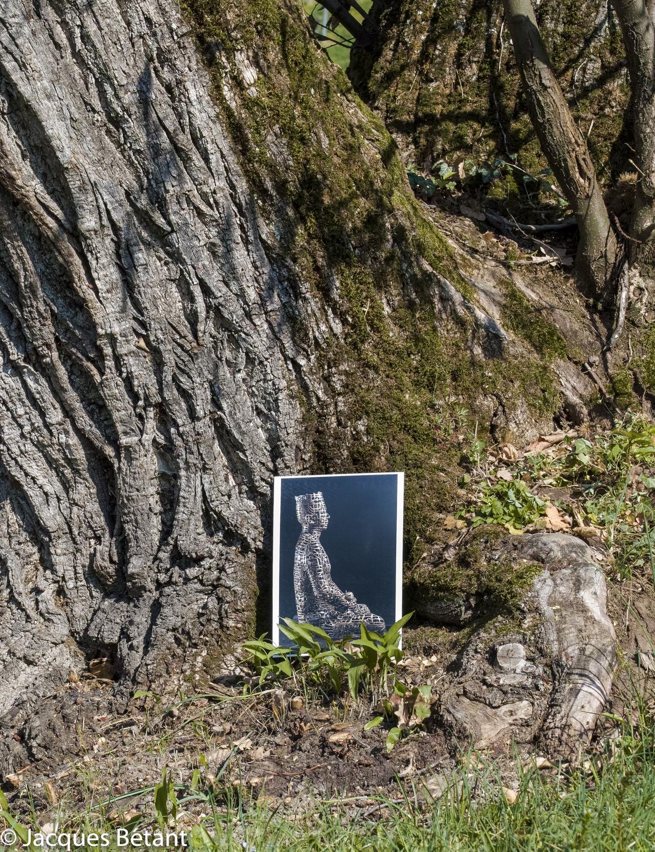 La photo de l'oeuvre de l'artiste chinois Zhongying Shi qui n'a pas pu venir pour cause de covid. Atelier Bétant Bex & Arts [Bex & Arts - Atelier Bétant]