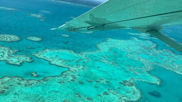 La Grande Barrière de corail australienne a connu son pire épisode de blanchissement. [AFP PHOTO / JAMES COOK UNIVERSITY - JAMES COOK UNIVERSITY]