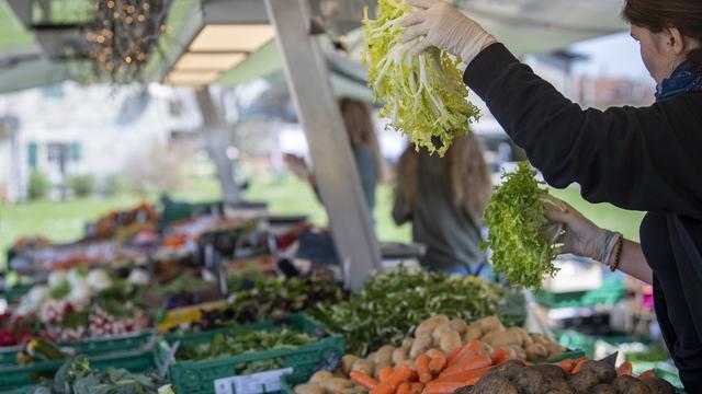 Touchés par des restrictions en raison du coronavirus, les maraîchers ont mis en place différentes alternatives pour vendre leurs produits, comme la vente directe à la ferme. [Keystone - Martial Trezzini]