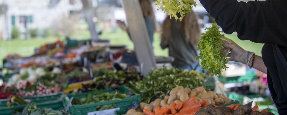 Touchés par des restrictions en raison du coronavirus, les maraîchers ont mis en place différentes alternatives pour vendre leurs produits, comme la vente directe à la ferme. [Keystone - Martial Trezzini]