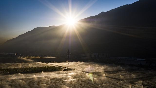 De l'eau est giclée sur les vergers d'abricotiers afin de les protèger du gel, à Saxon en Valais en avril 2017. [Keystone - Valentin Flauraud]