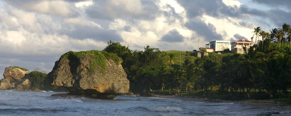 L'ile de la Barbade est un Etat indépendant faisant partie du Commonwealth britannique. [AP Photo/Barbados Tourism Authority/Keystone]