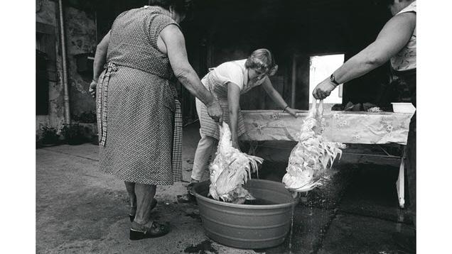 Une photographie de Monique Jacot, Le Crêt, 1986. [Fotostiftung Schweiz - Monique Jacot]