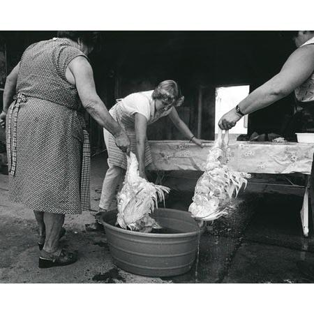 Une photographie de Monique Jacot, Le Crêt, 1986. [Fotostiftung Schweiz - Monique Jacot]